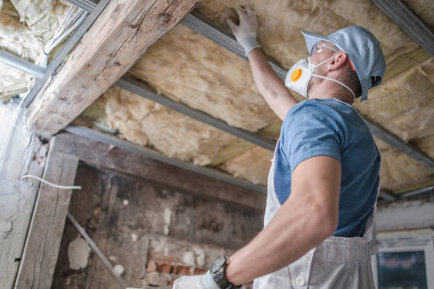 Best Insulation Maintenance and Repair in Berwyn, IL